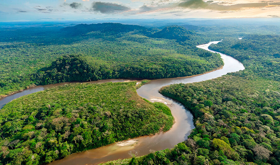 Aprende cuál es la mejor época para ir al Amazonas