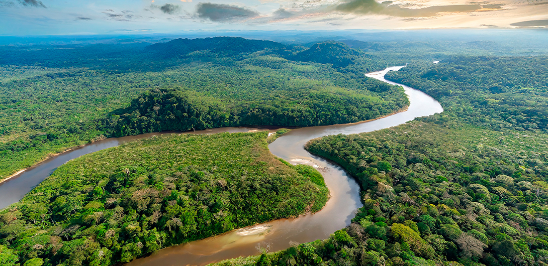 ¿Cuál es la mejor época para ir al Amazonas desde un crucero fluvial?