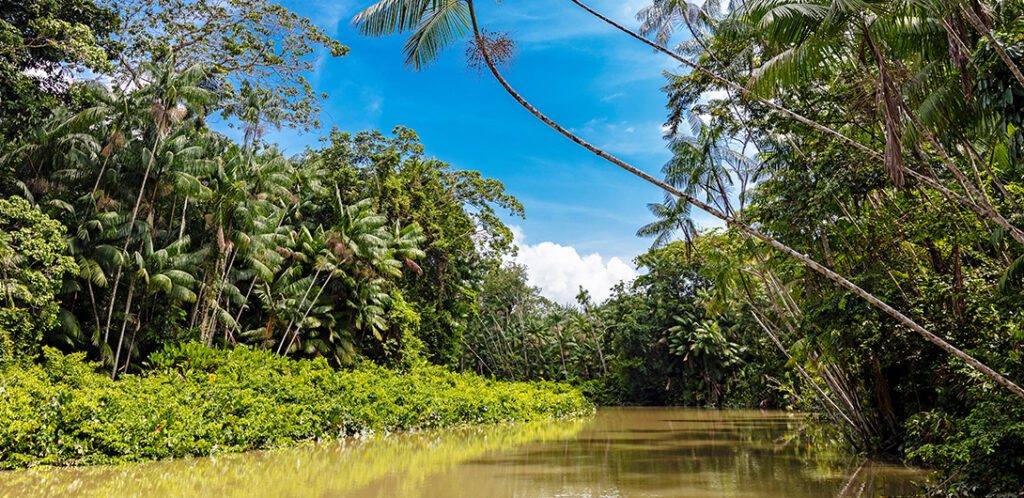La mejor época para ir al Amazonas en 2025